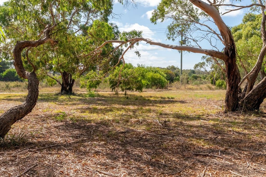 17 Creswell Street, CRIB POINT, VIC 3919, Crib Point - Thumbnail 6