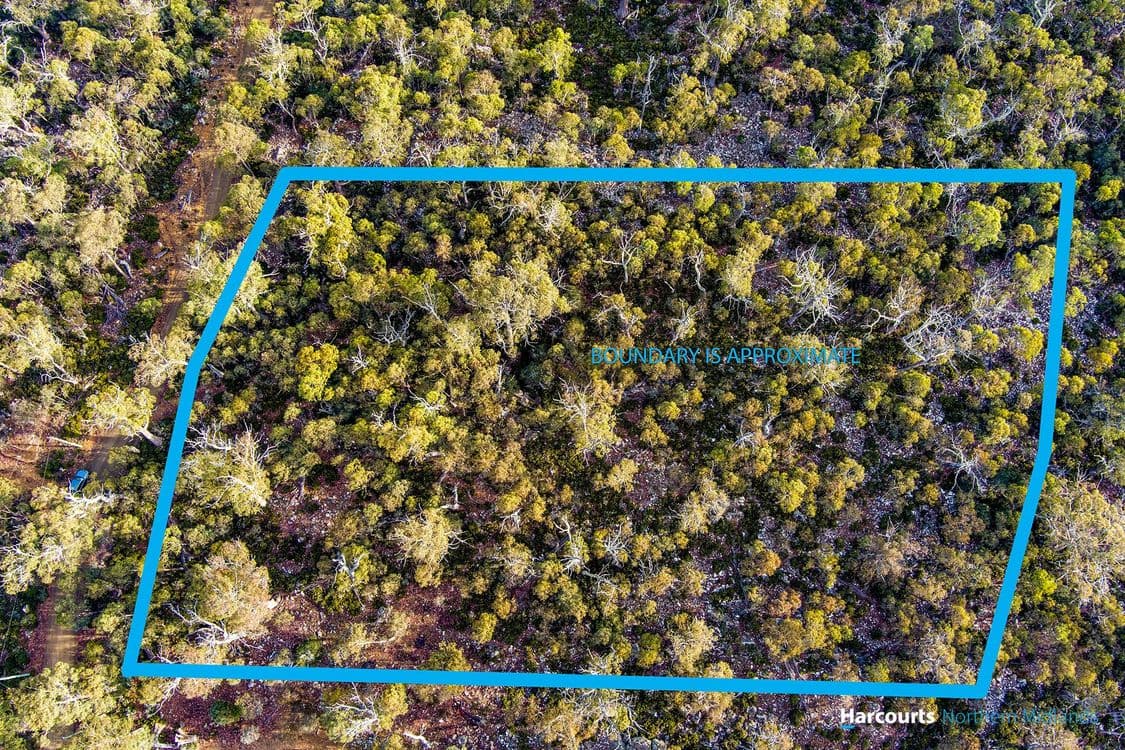 11 Shoobridge Close, TODS CORNER, TAS 7030, Tods Corner - Thumbnail 4