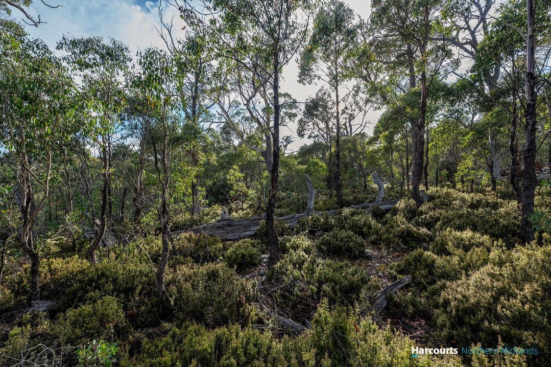 11 Shoobridge Close, TODS CORNER, TAS 7030, Tods Corner - Thumbnail 5