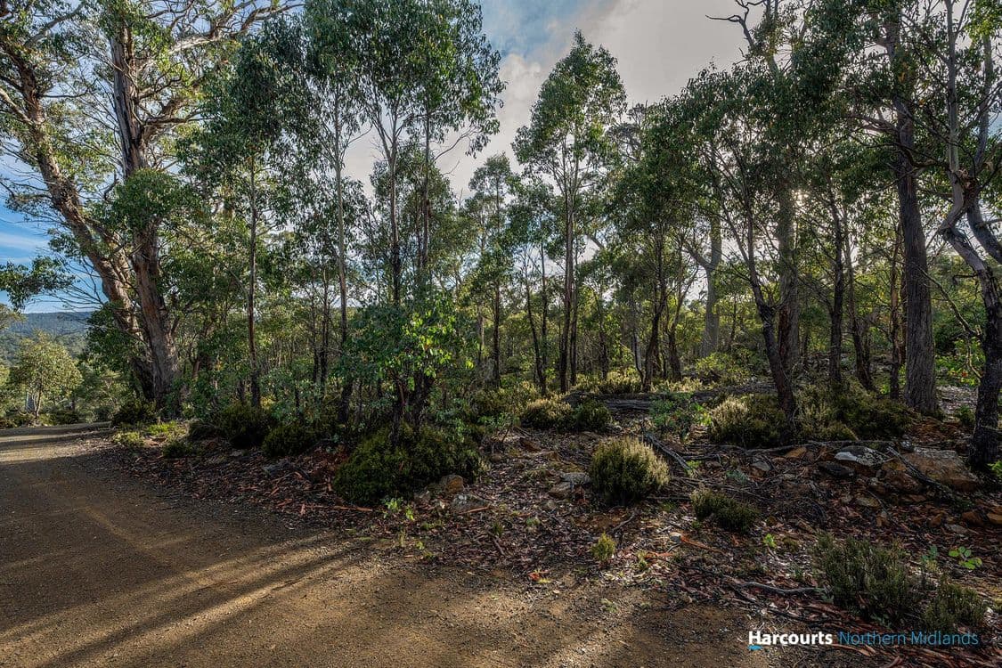 11 Shoobridge Close, TODS CORNER, TAS 7030, Tods Corner - Thumbnail 6