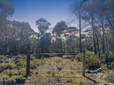 711 Arthurs Lake Road, ARTHURS LAKE, TAS 7030, Wilburville - Image 1