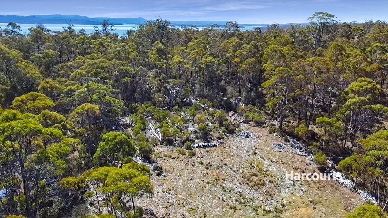 711 Arthurs Lake Road, ARTHURS LAKE, TAS 7030, Wilburville - Thumbnail 2