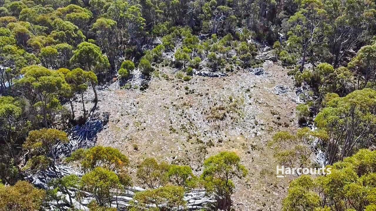 711 Arthurs Lake Road, ARTHURS LAKE, TAS 7030, Wilburville - Thumbnail 3