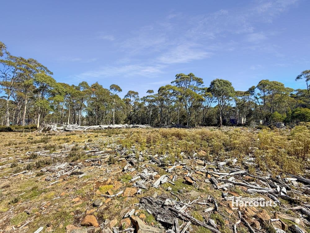 711 Arthurs Lake Road, ARTHURS LAKE, TAS 7030, Wilburville - Thumbnail 4