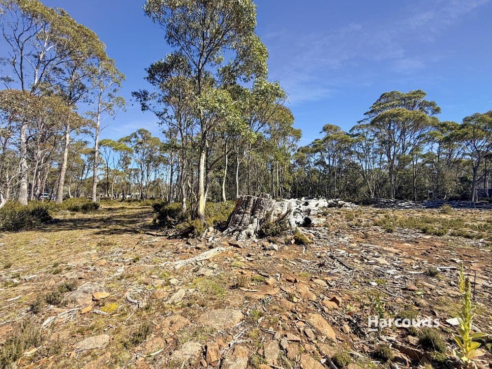 711 Arthurs Lake Road, ARTHURS LAKE, TAS 7030, Wilburville - Thumbnail 5