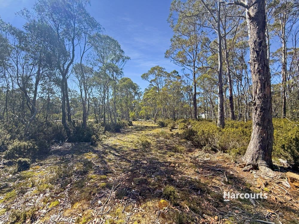 711 Arthurs Lake Road, ARTHURS LAKE, TAS 7030, Wilburville - Thumbnail 6