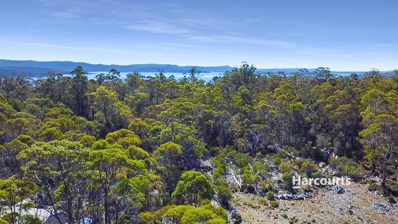 711 Arthurs Lake Road, ARTHURS LAKE, TAS 7030, Wilburville - Thumbnail 7