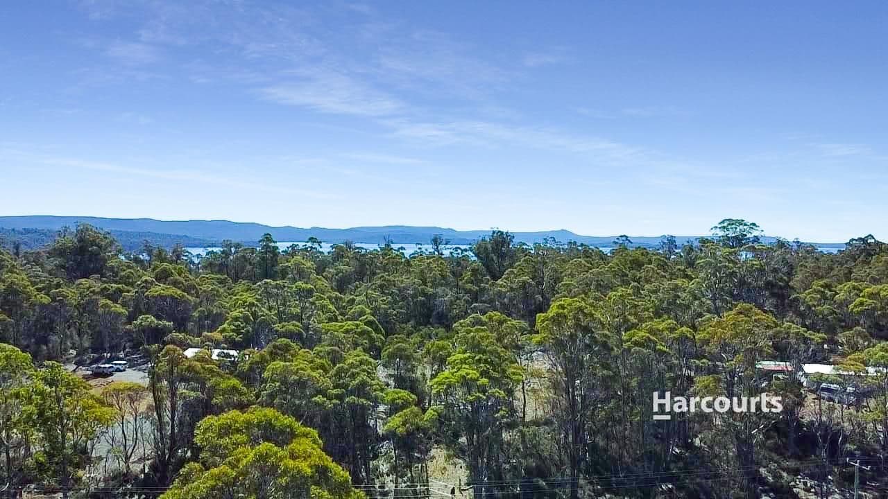 711 Arthurs Lake Road, ARTHURS LAKE, TAS 7030, Wilburville - Thumbnail 8