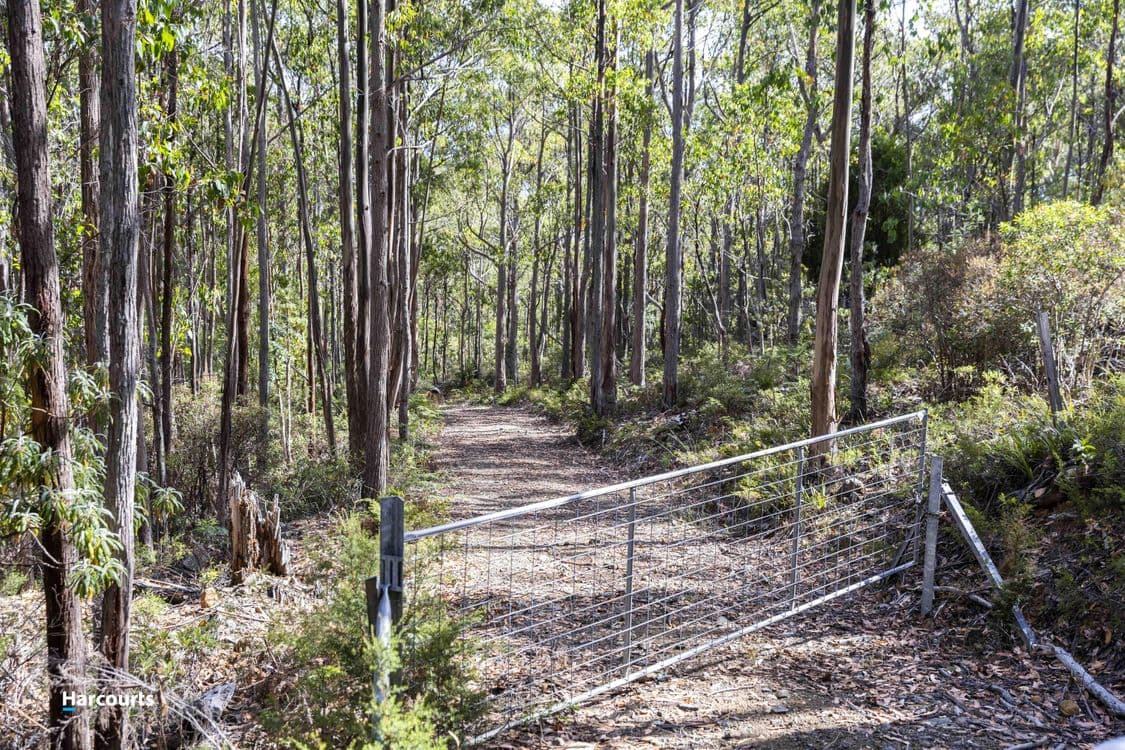 RA Basin Road, GROVE, TAS 7109, Grove - Thumbnail 3