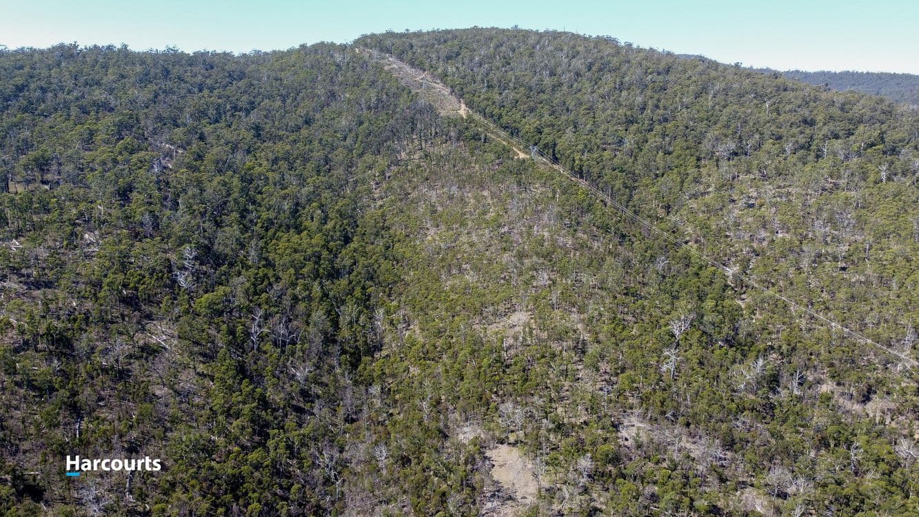 RA Basin Road, GROVE, TAS 7109, Grove - Thumbnail 4