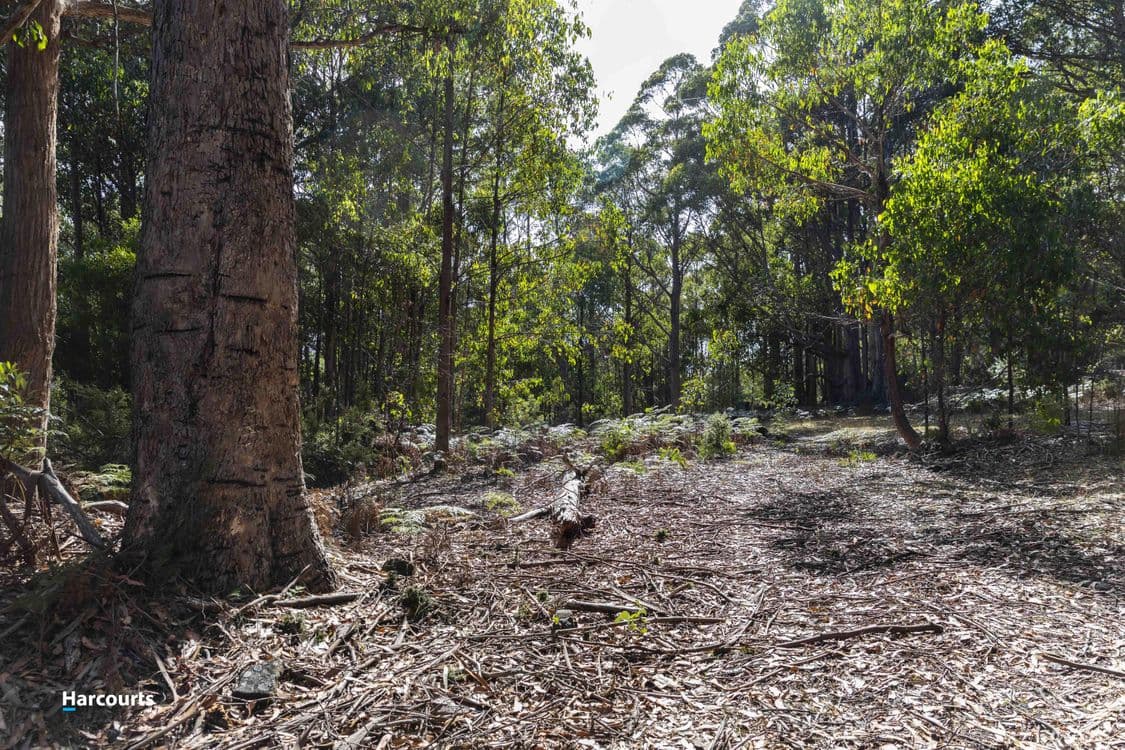 RA Basin Road, GROVE, TAS 7109, Grove - Thumbnail 7