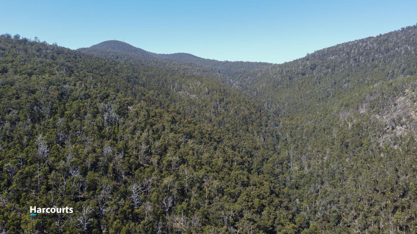 RA Basin Road, GROVE, TAS 7109, Grove - Thumbnail 8