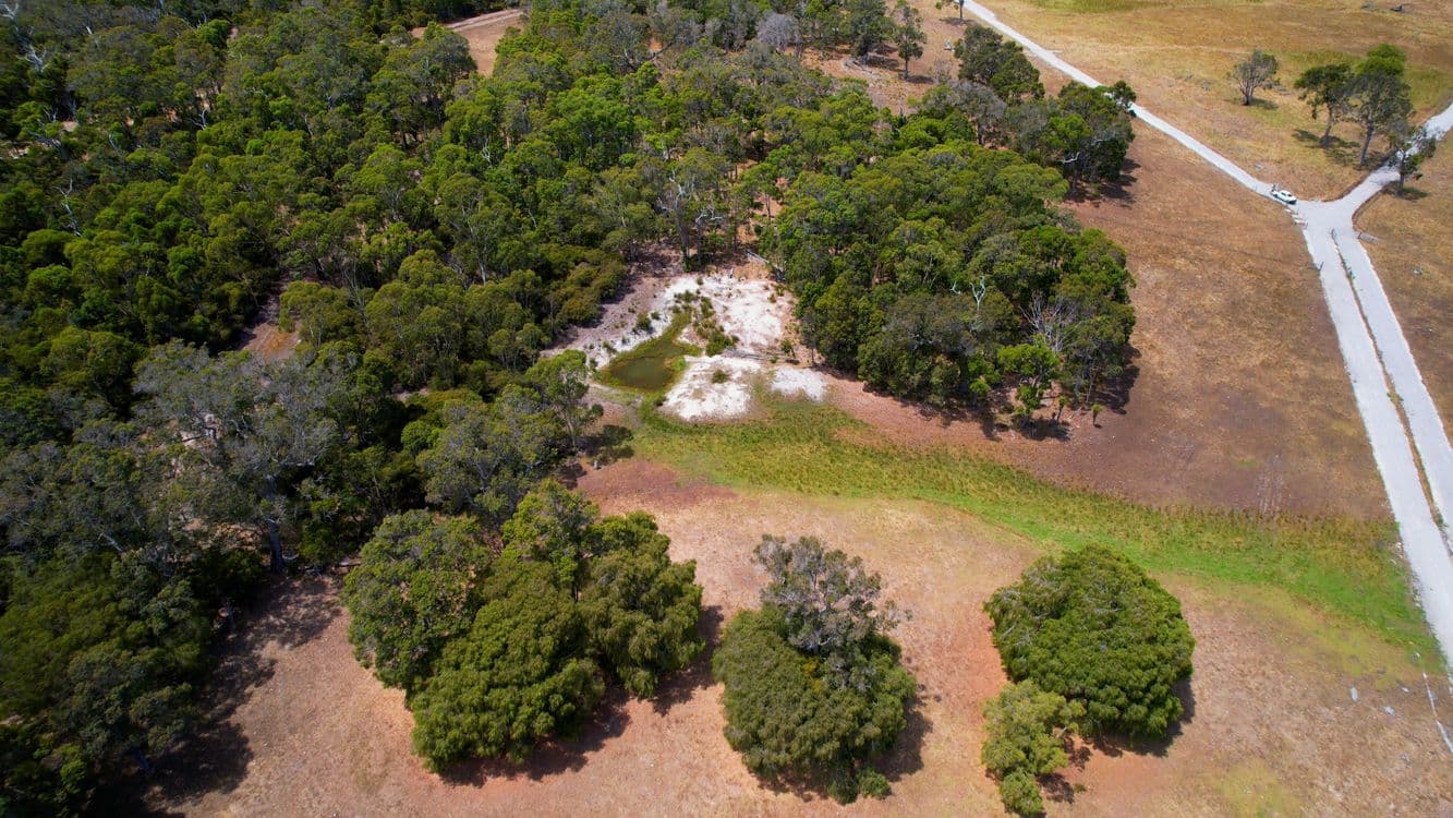 Proposed Lot 3/166 Richardson Road (Meerup), NORTHCLIFFE, WA 6262, Northcliffe - Thumbnail 3