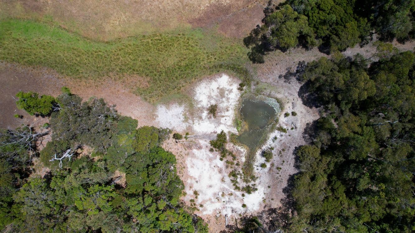 Proposed Lot 3/166 Richardson Road (Meerup), NORTHCLIFFE, WA 6262, Northcliffe - Thumbnail 4