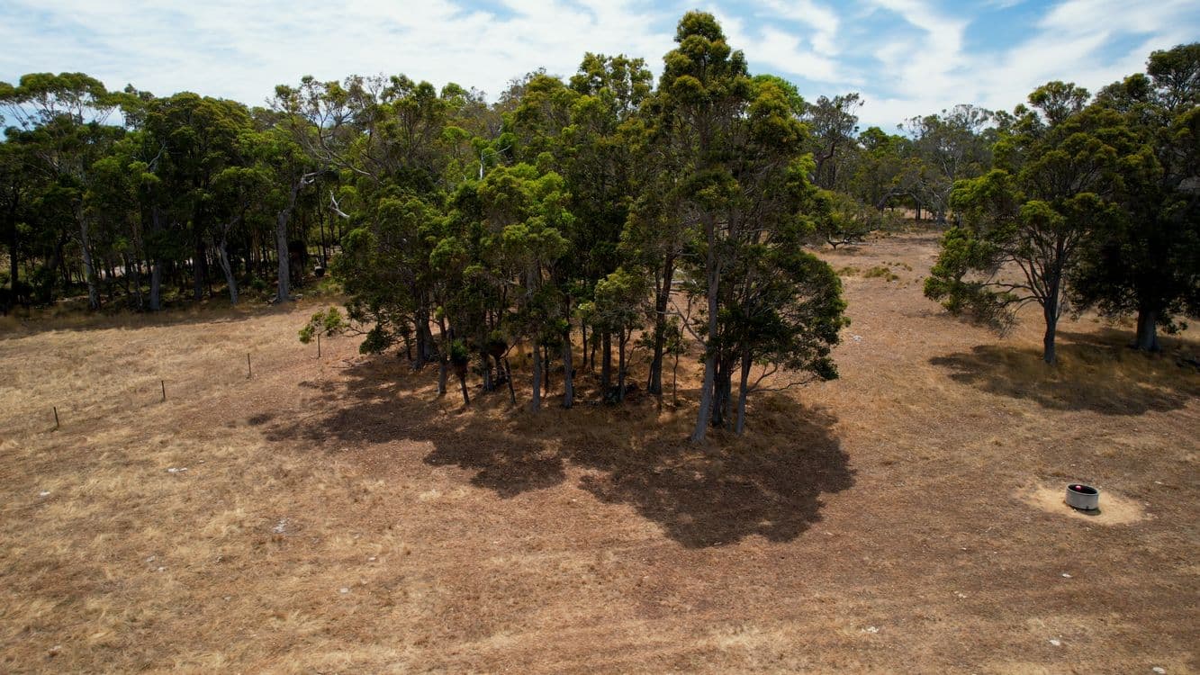 Proposed Lot 3/166 Richardson Road (Meerup), NORTHCLIFFE, WA 6262, Northcliffe - Thumbnail 6