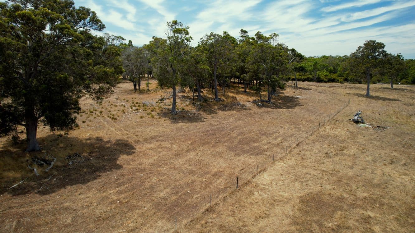 Proposed Lot 3/166 Richardson Road (Meerup), NORTHCLIFFE, WA 6262, Northcliffe - Thumbnail 7