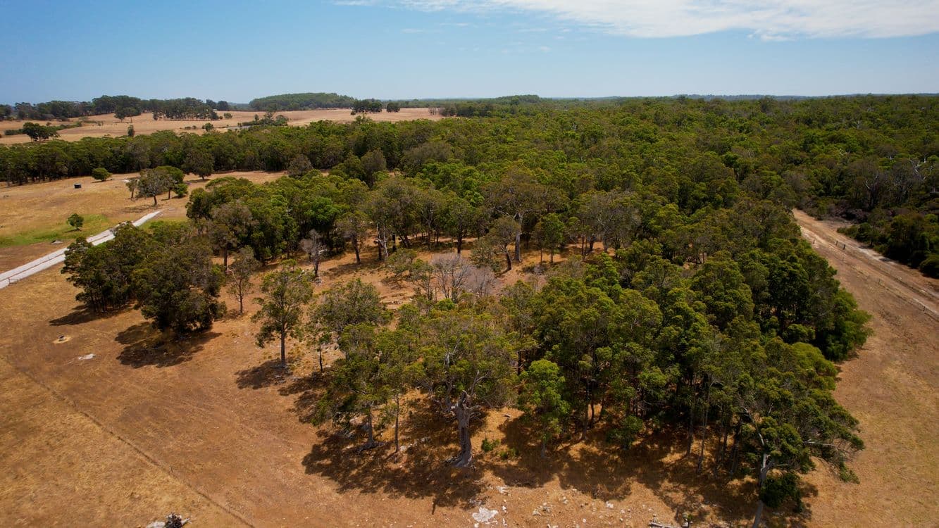 Proposed Lot 3/166 Richardson Road (Meerup), NORTHCLIFFE, WA 6262, Northcliffe - Thumbnail 8