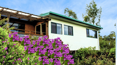 5 Long Hill Place, ST HELENS, TAS 7216, St Helens - Image 1