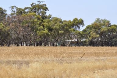 12 Newton Road, COBLININE, WA 6317, Coblinine - Image 1
