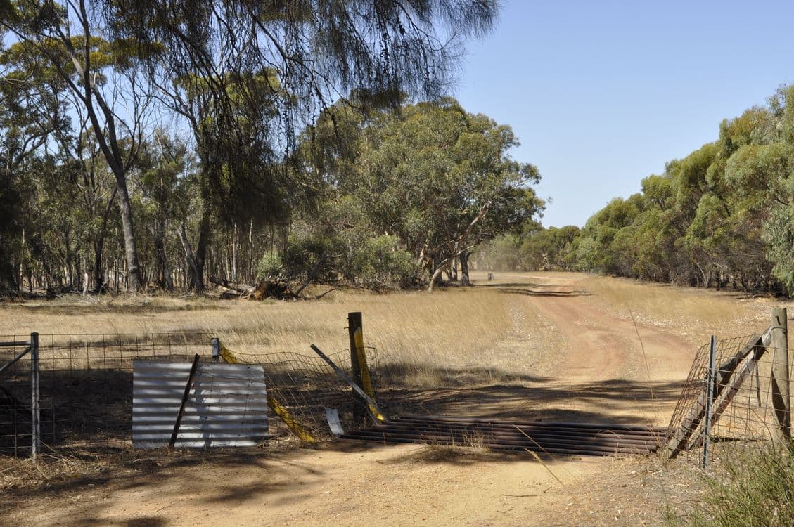 12 Newton Road, COBLININE, WA 6317, Coblinine - Thumbnail 2