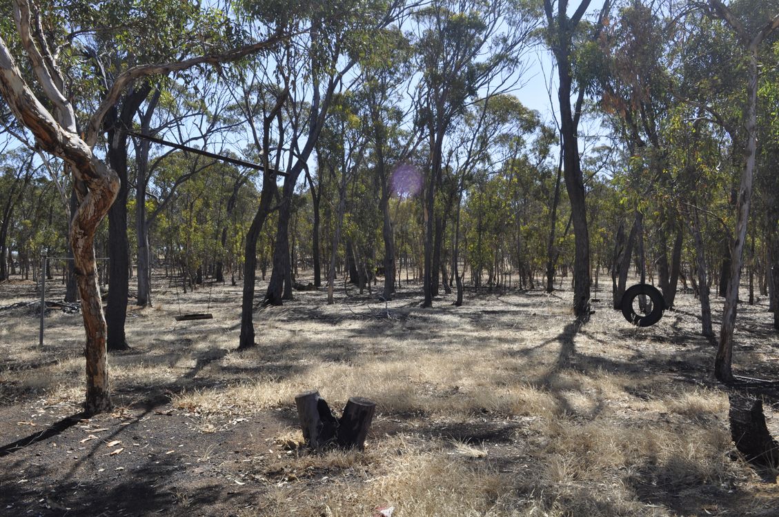 12 Newton Road, COBLININE, WA 6317, Coblinine - Thumbnail 4