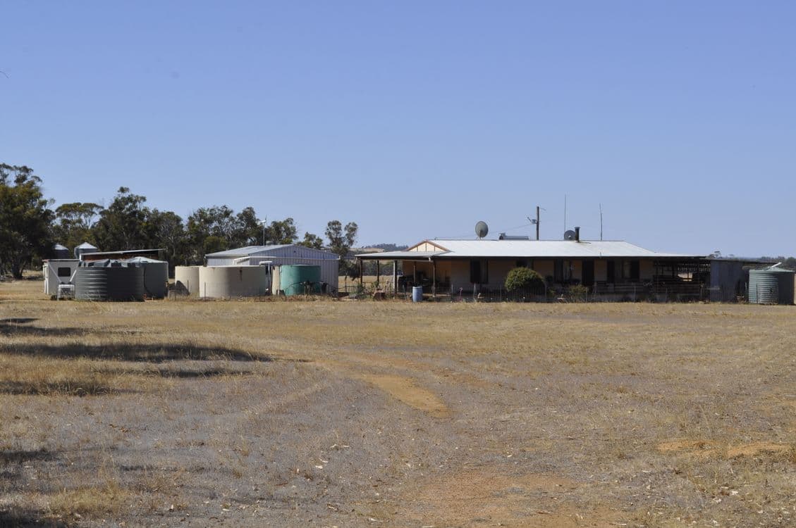 12 Newton Road, COBLININE, WA 6317, Coblinine - Thumbnail 6