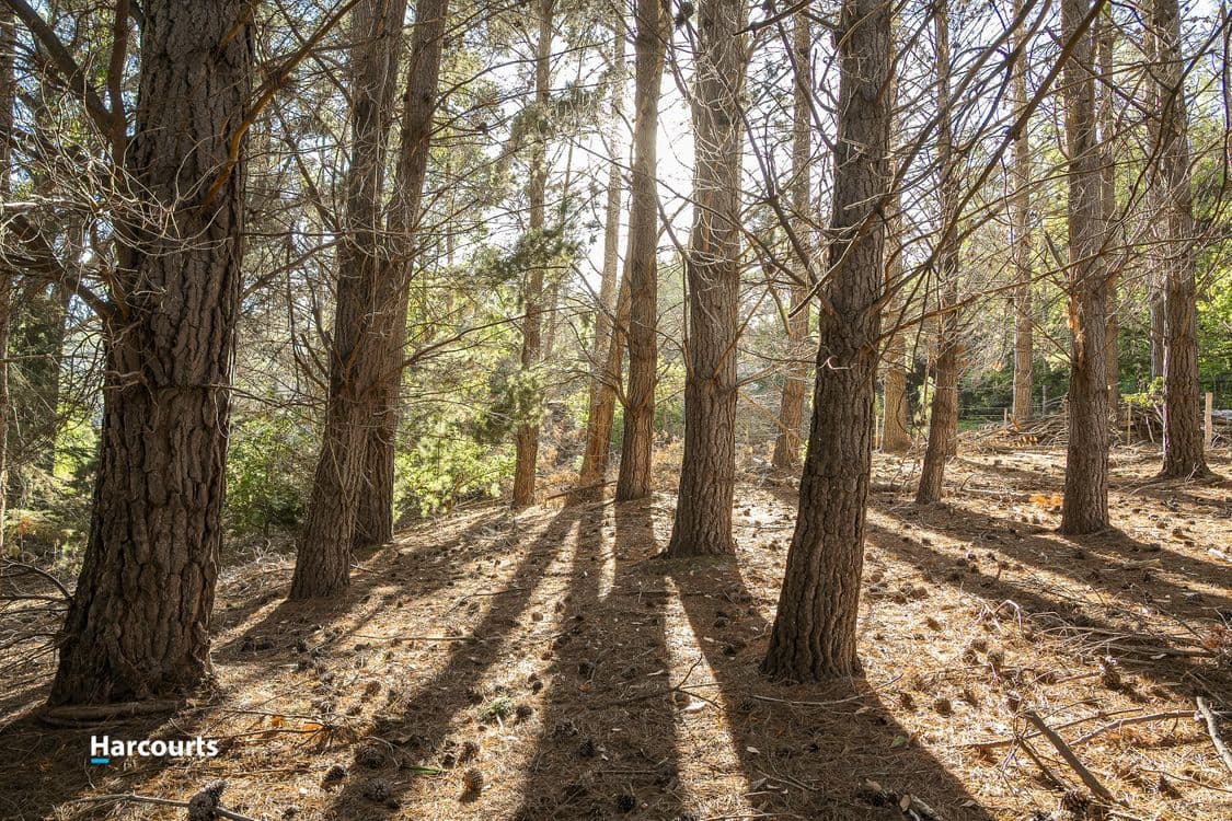 38 Autumn Road, CRADOC, TAS 7109, Cradoc - Thumbnail 8