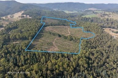 Lot 1 East Maurice Road, TALAWA, TAS 7263, Ringarooma - Image 1