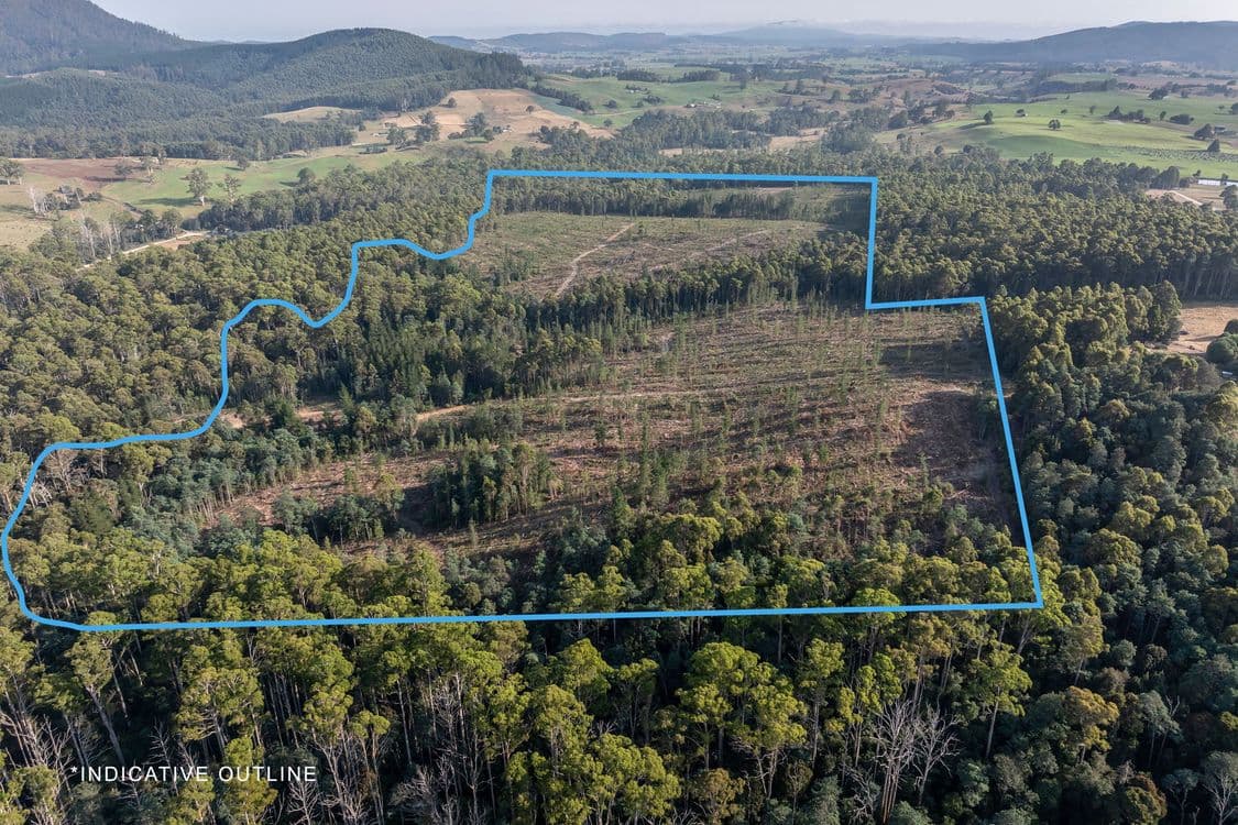 Lot 1 East Maurice Road, TALAWA, TAS 7263, Ringarooma - Thumbnail 2