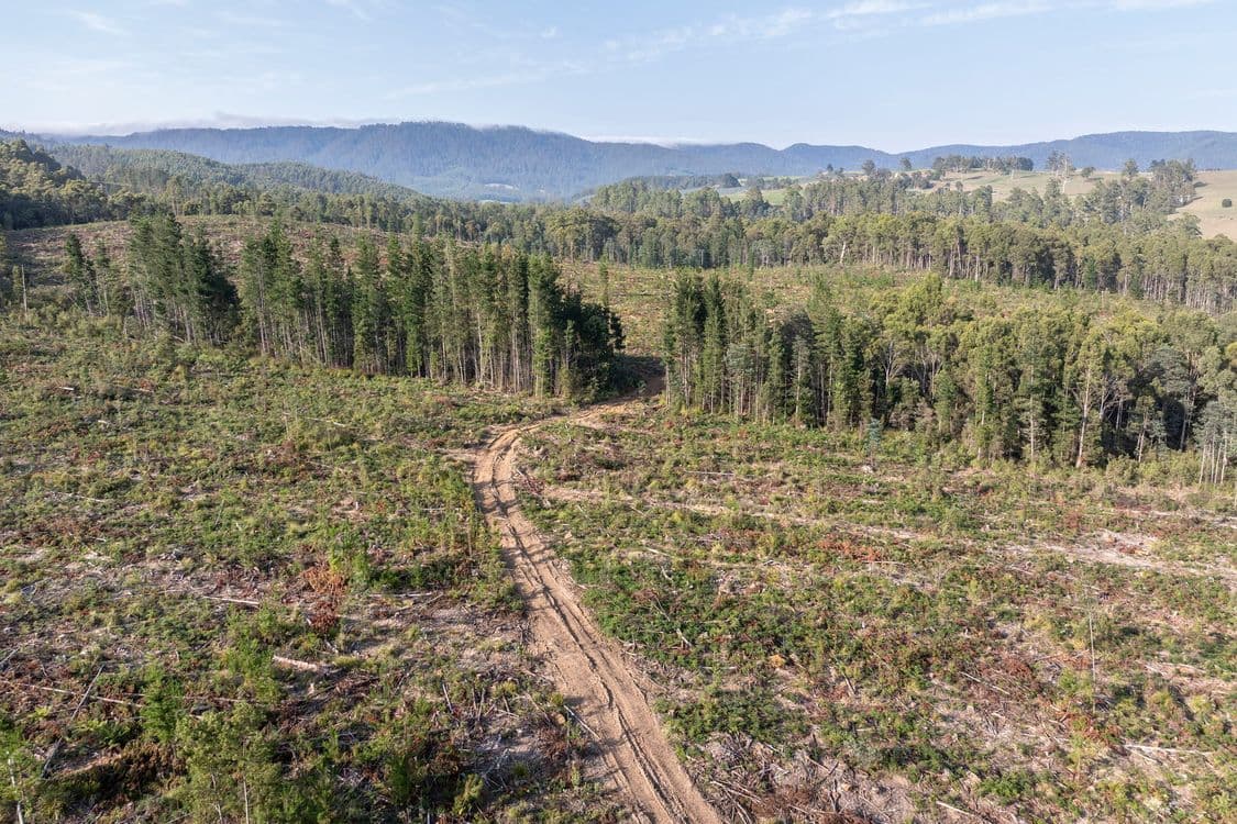 Lot 1 East Maurice Road, TALAWA, TAS 7263, Ringarooma - Thumbnail 4
