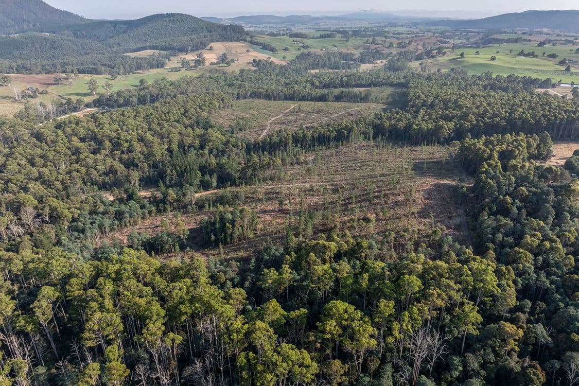 Lot 1 East Maurice Road, TALAWA, TAS 7263, Ringarooma - Thumbnail 5