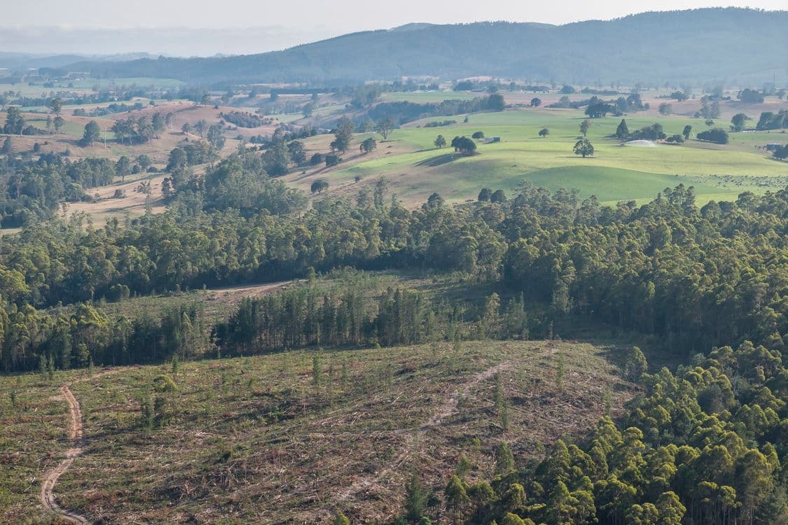 Lot 1 East Maurice Road, TALAWA, TAS 7263, Ringarooma - Thumbnail 7