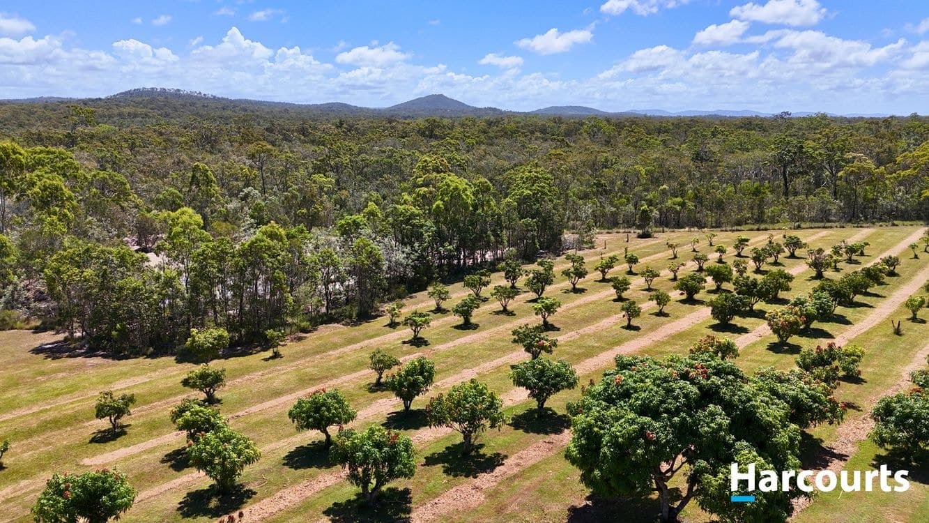 397 Capricornia Drive, DEEPWATER, QLD 4674, Deepwater - Thumbnail 2