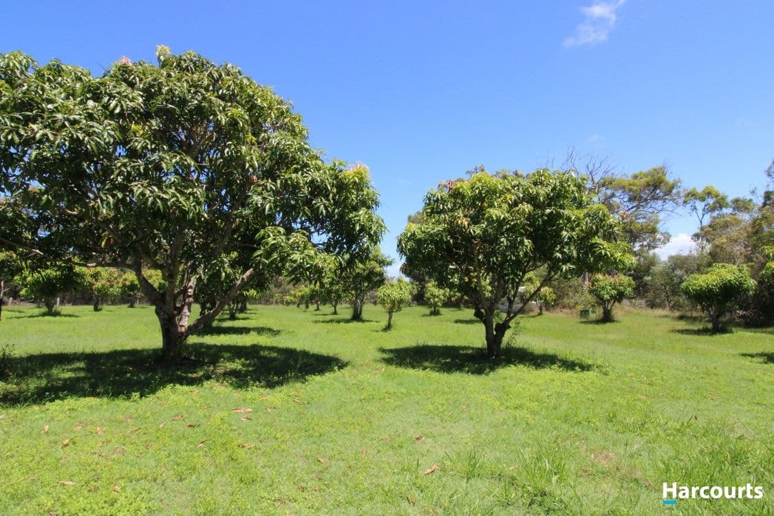 397 Capricornia Drive, DEEPWATER, QLD 4674, Deepwater - Thumbnail 5
