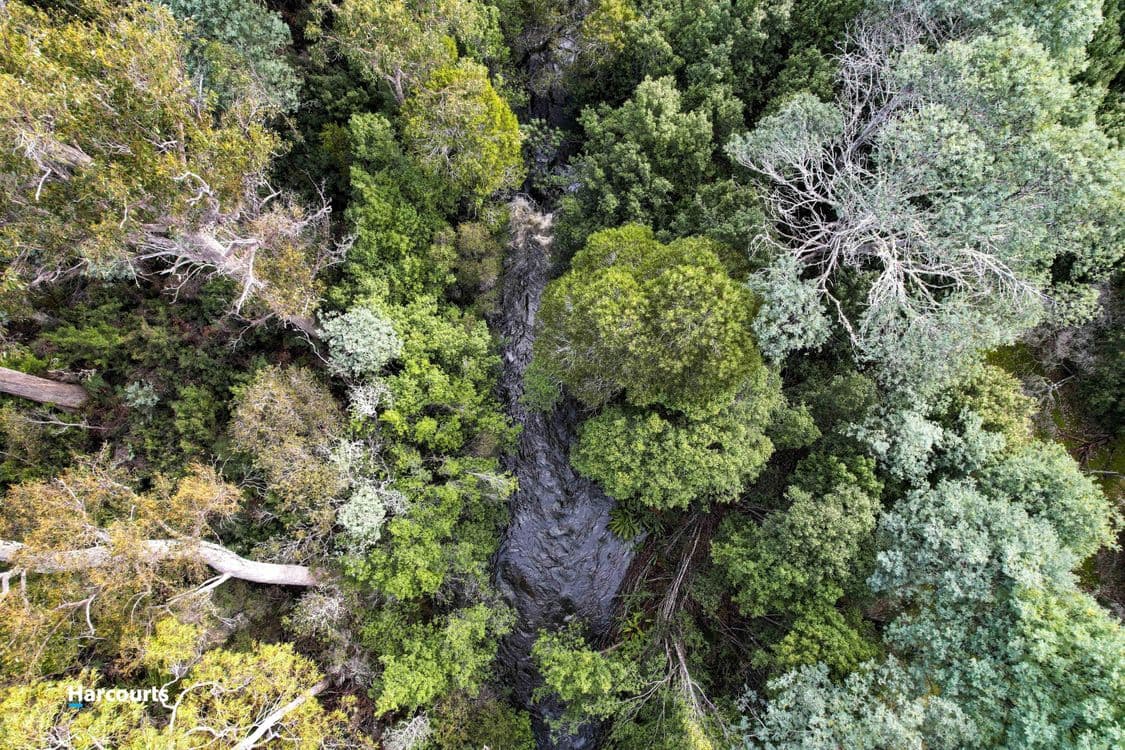 623 Denison Road, LONNAVALE, TAS 7109, Lonnavale - Thumbnail 3