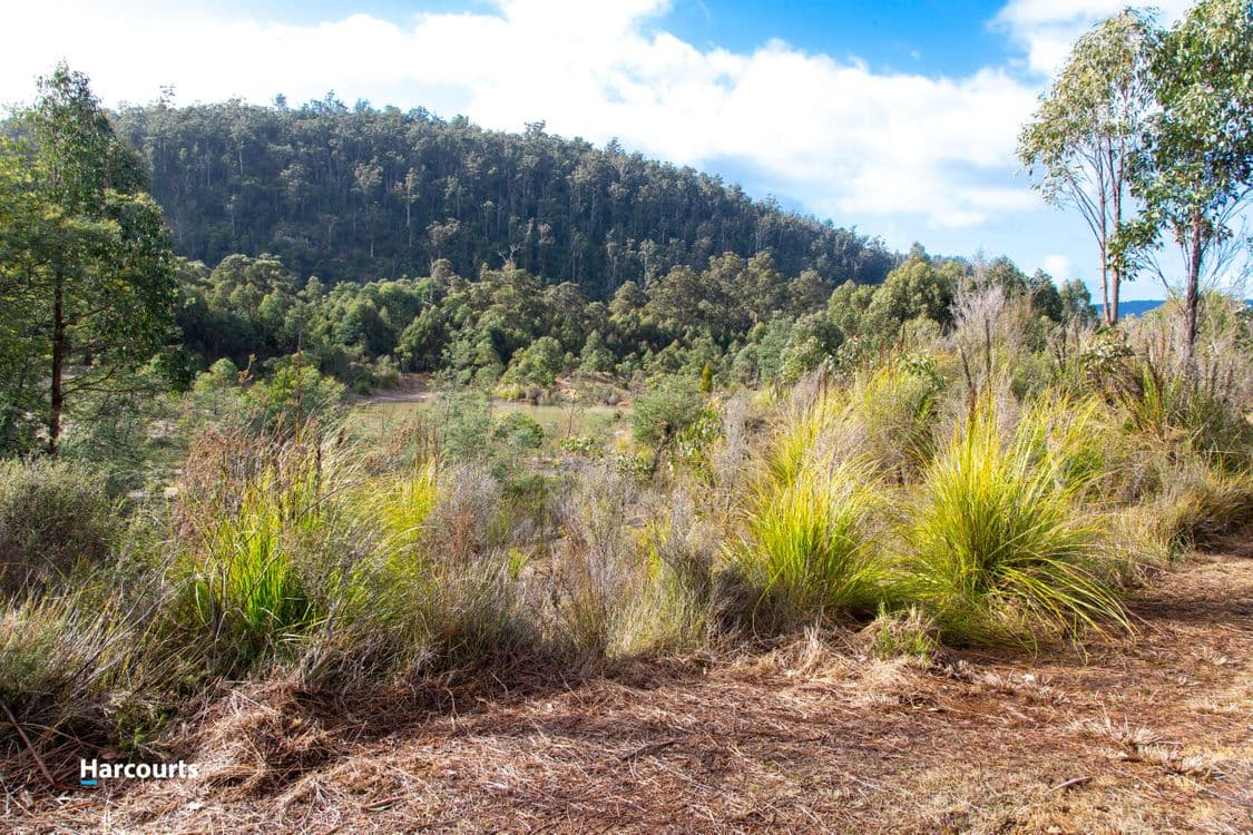 623 Denison Road, LONNAVALE, TAS 7109, Lonnavale - Thumbnail 4