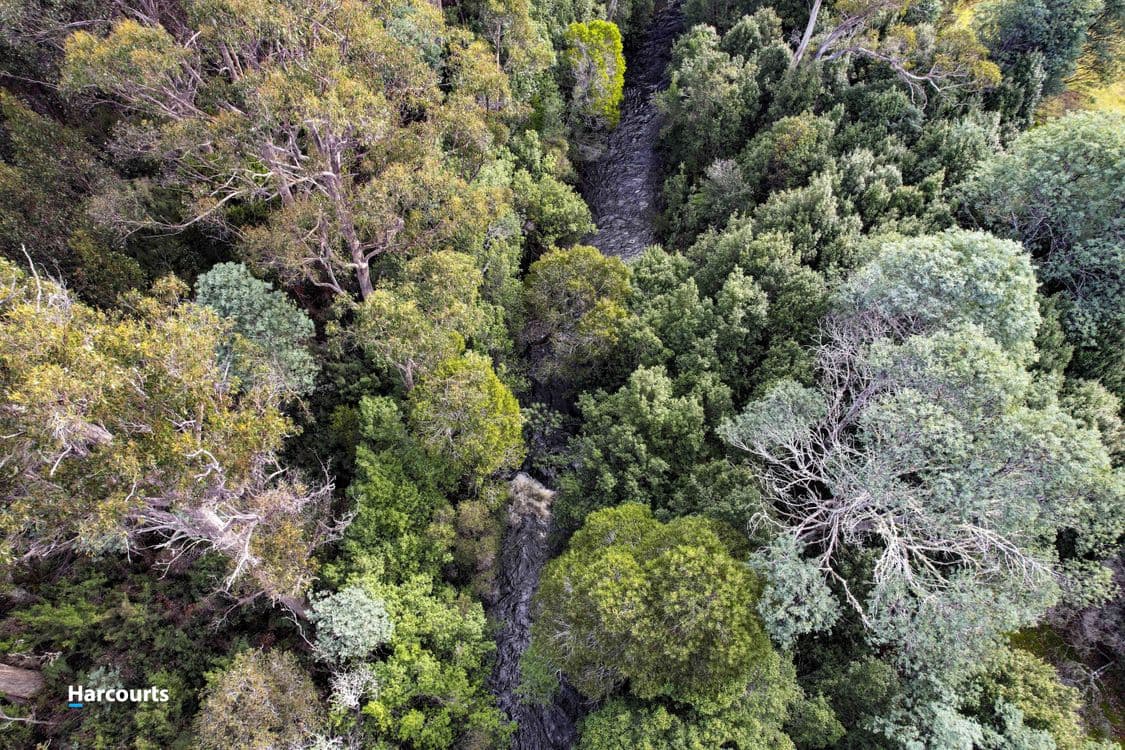 623 Denison Road, LONNAVALE, TAS 7109, Lonnavale - Thumbnail 6