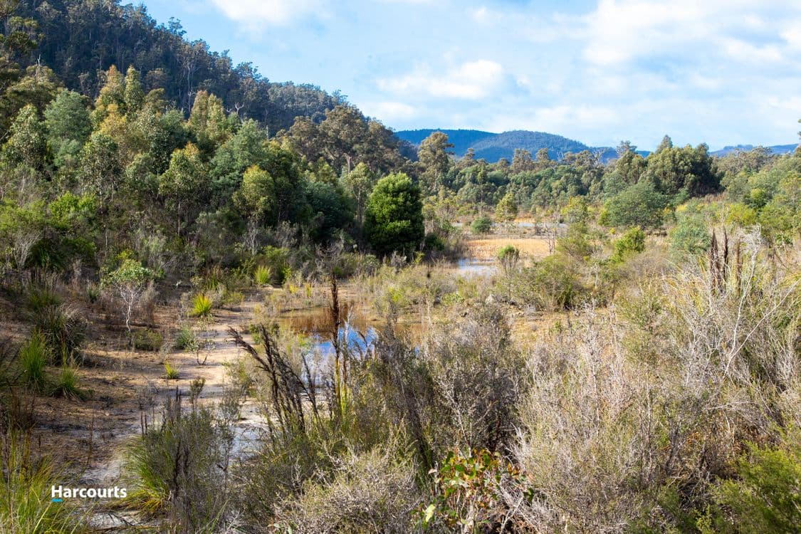 623 Denison Road, LONNAVALE, TAS 7109, Lonnavale - Thumbnail 7