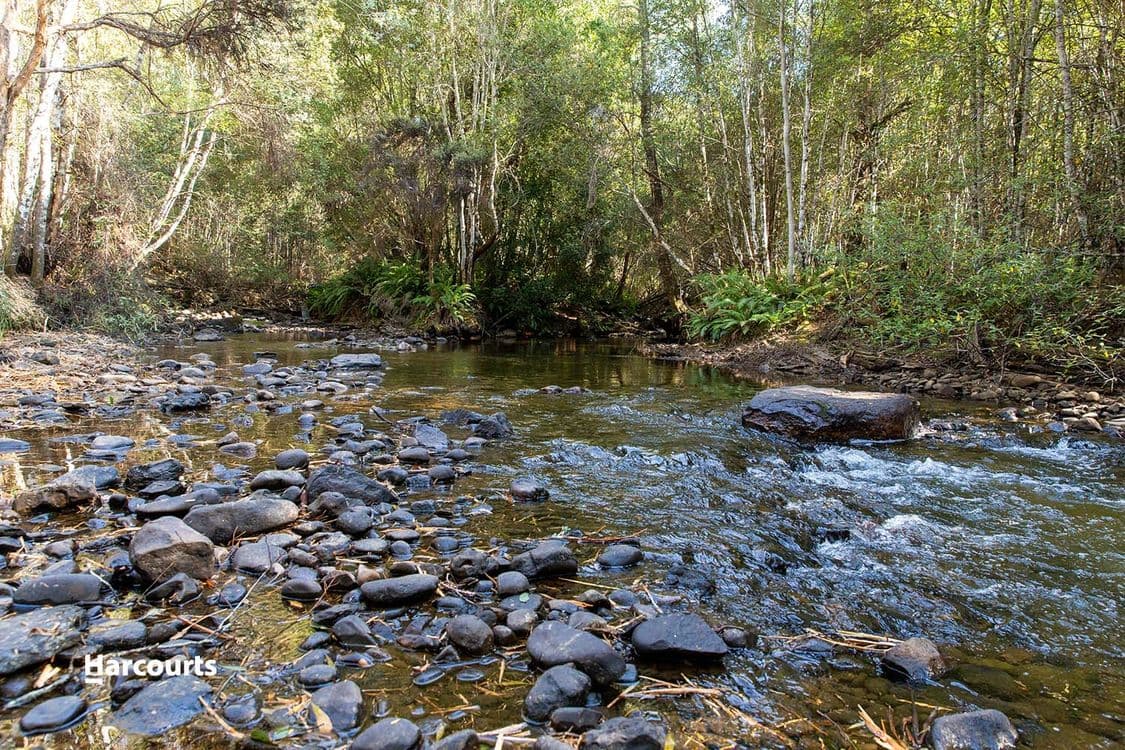 623 Denison Road, LONNAVALE, TAS 7109, Lonnavale - Thumbnail 8