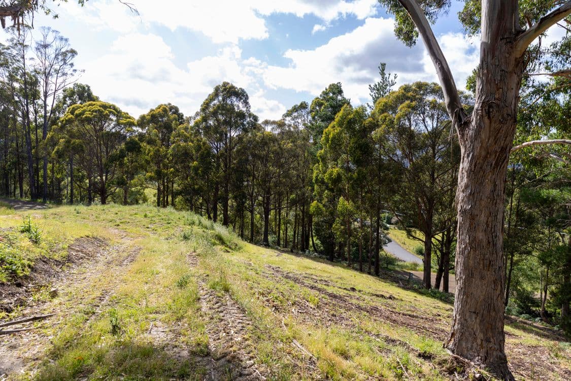 Lot 1 Daytons Drive, RANELAGH, TAS 7109, Ranelagh - Thumbnail 6