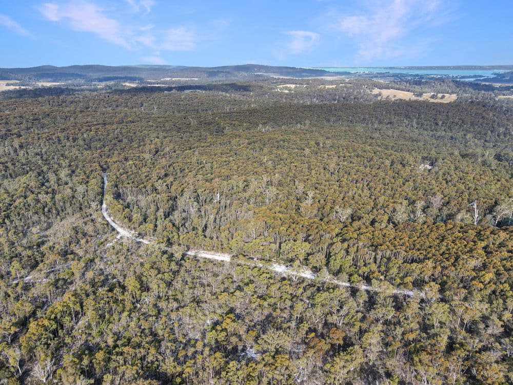 25851 Tasman Highway, ST HELENS, TAS 7216, St Helens - Thumbnail 2