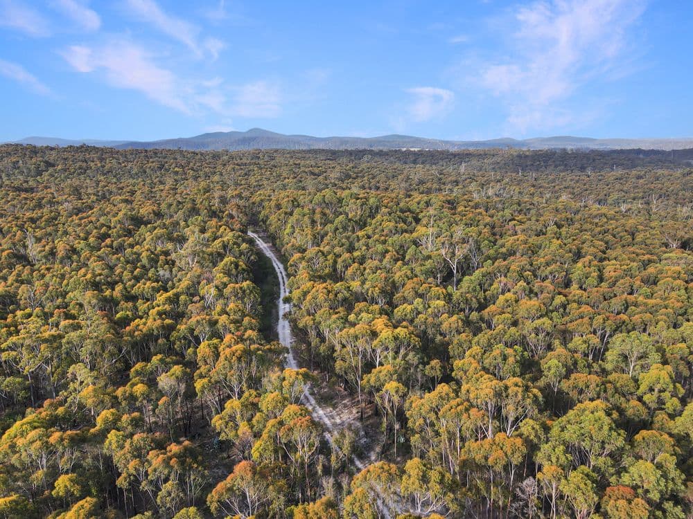 25851 Tasman Highway, ST HELENS, TAS 7216, St Helens - Thumbnail 3