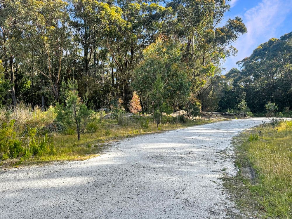 25851 Tasman Highway, ST HELENS, TAS 7216, St Helens - Thumbnail 8