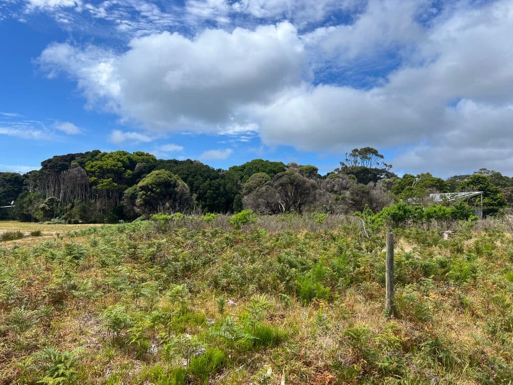 14 Rankins Road, NARACOOPA, TAS 7256, Naracoopa - Thumbnail 2