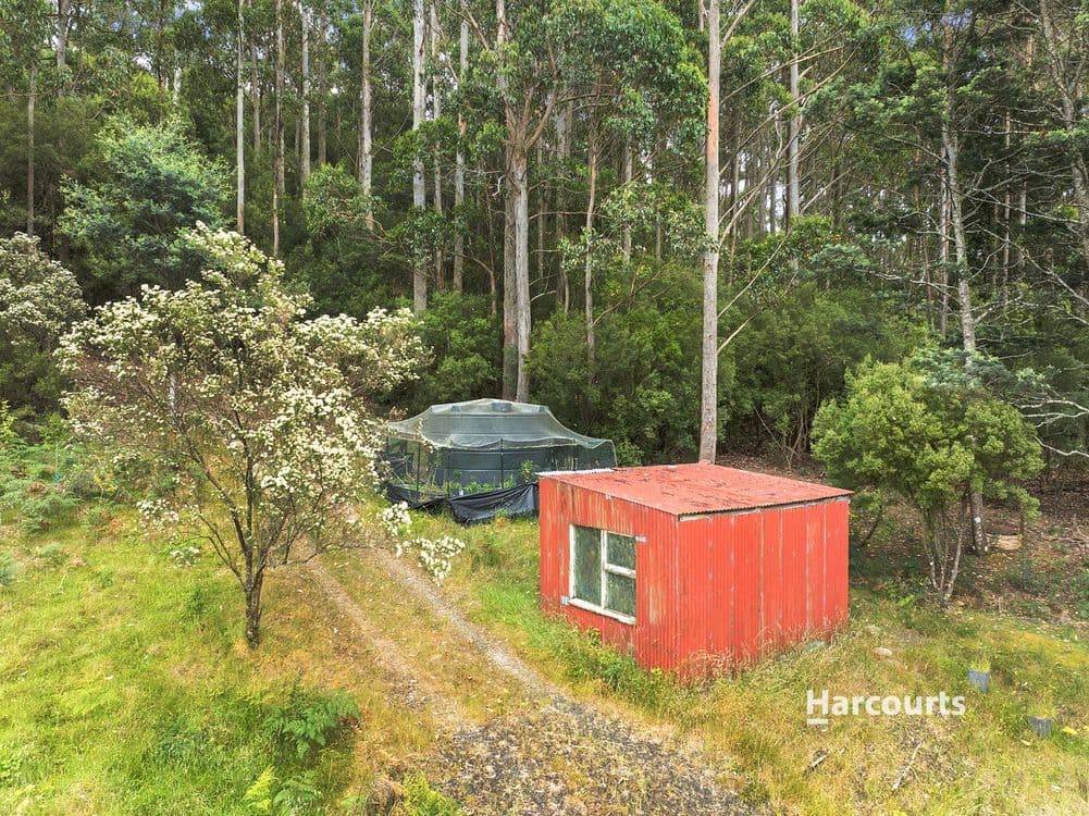 31 Sarah Road, RIANA, TAS 7316, Riana - Thumbnail 4