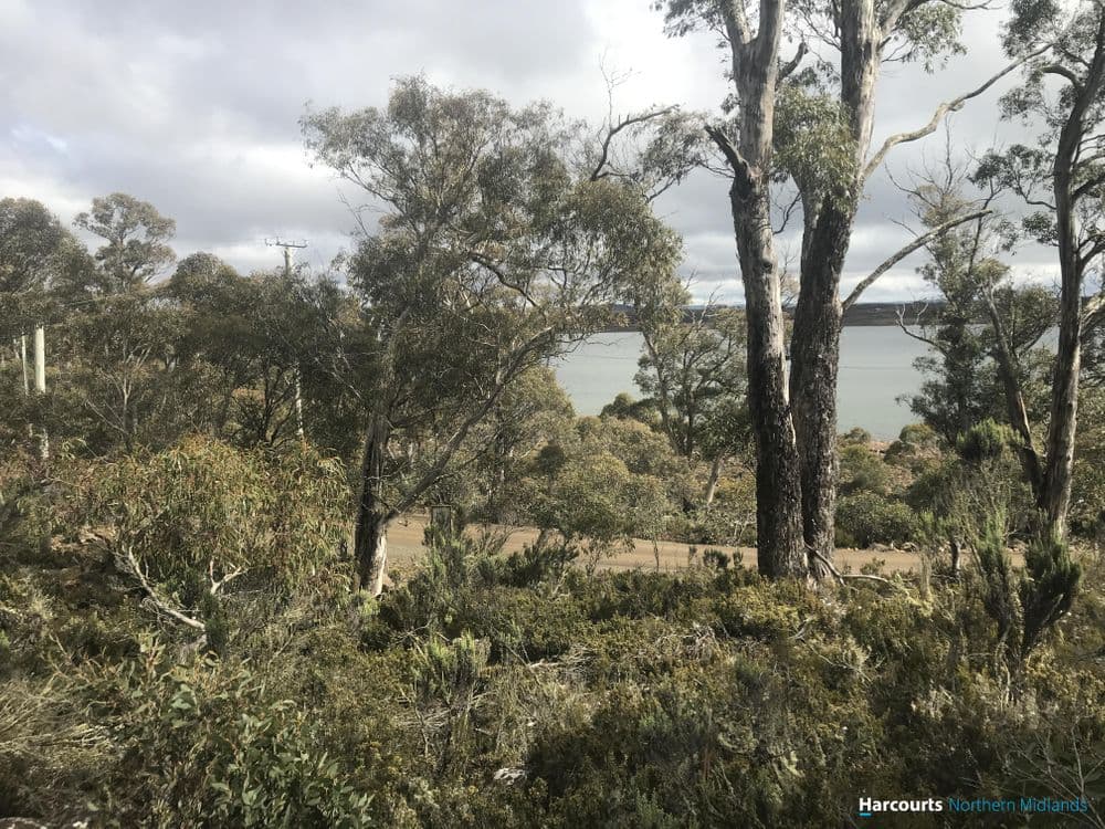 384 Tods Corner Road, TODS CORNER, TAS 7030, Tods Corner - Thumbnail 2