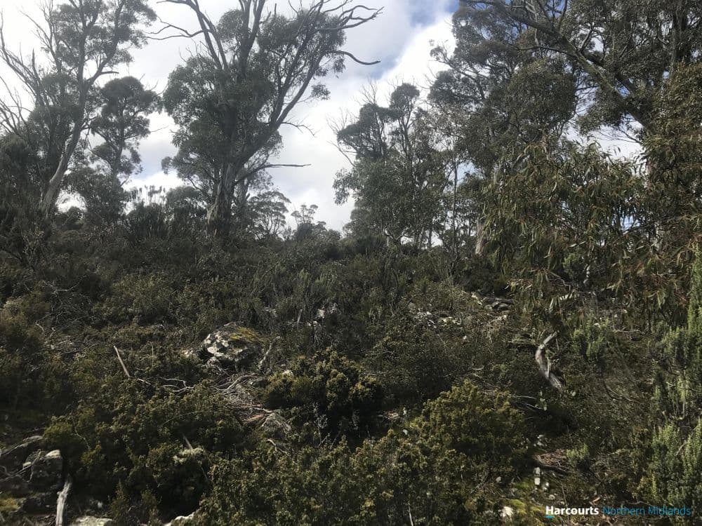 384 Tods Corner Road, TODS CORNER, TAS 7030, Tods Corner - Thumbnail 5
