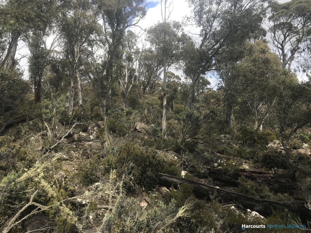 384 Tods Corner Road, TODS CORNER, TAS 7030, Tods Corner - Thumbnail 7