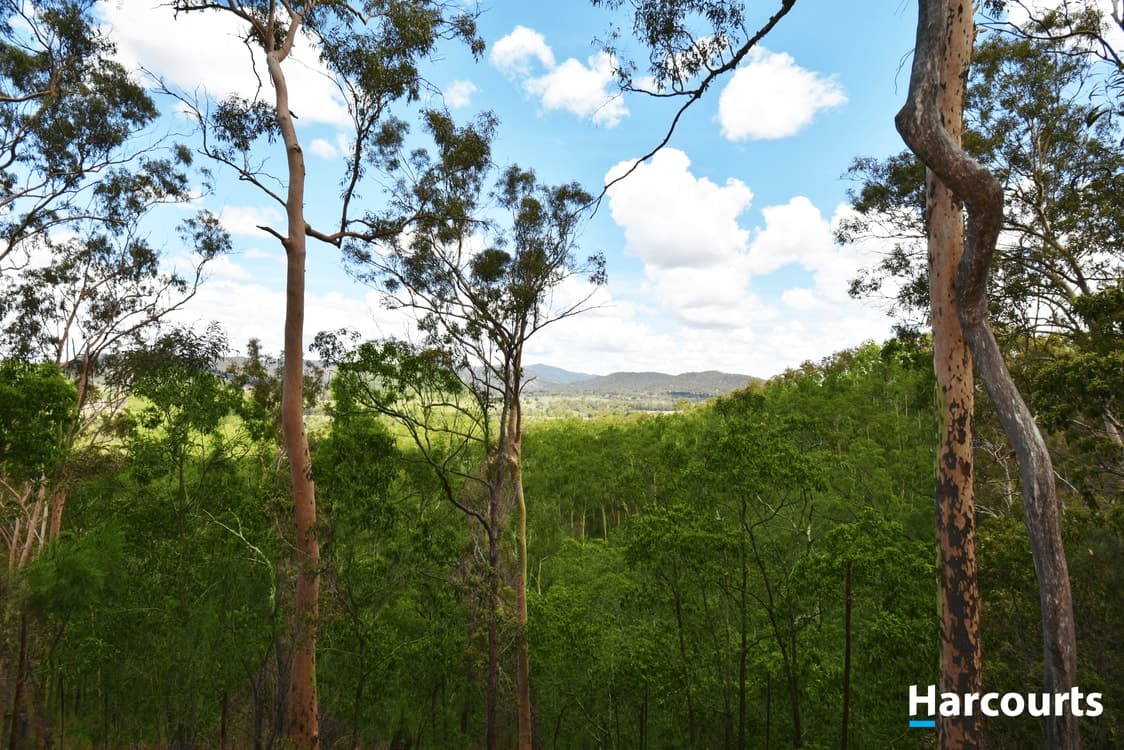 Lot 29 Wonbah Avenue, WONBAH, QLD 4671, Wonbah - Thumbnail 6