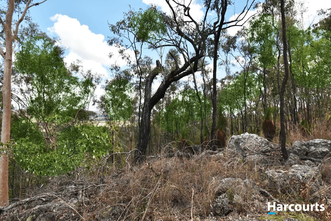Lot 29 Wonbah Avenue, WONBAH, QLD 4671, Wonbah - Thumbnail 7